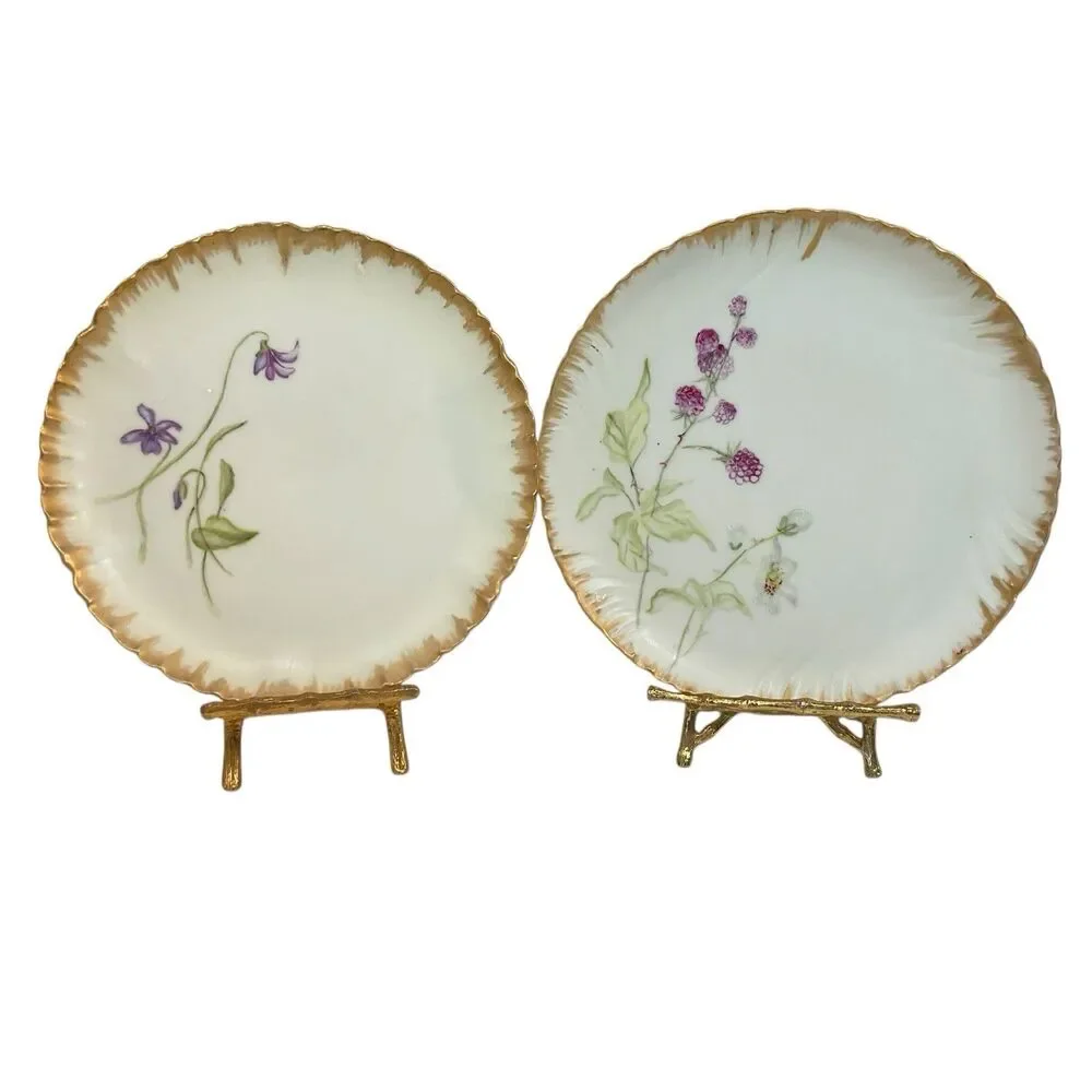 Haviland 1870-1890 Decorative Floral Plates France 7” Set of 2